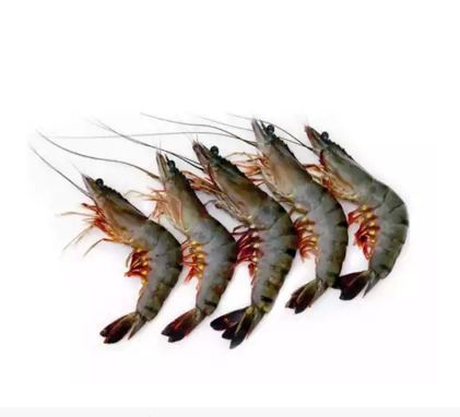 Prawn Medium (Chingri) 500 gm