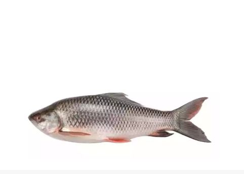 Rui Fish (Net Weight ± 60 gm)