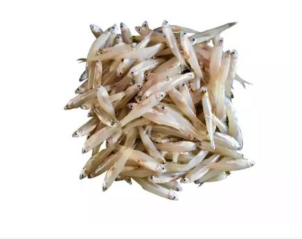 Kaski Fish