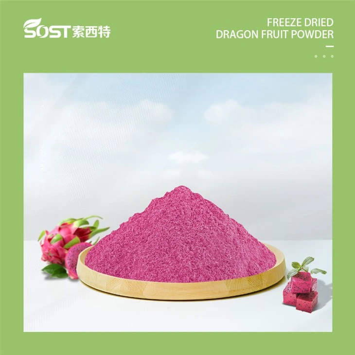 Fdied Dragon Fruit